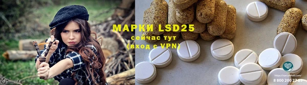 крисы Майский