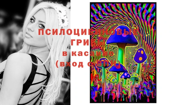 стаф Магадан