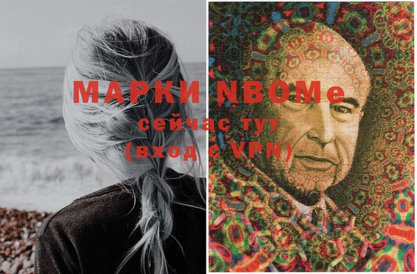 крисы Майский