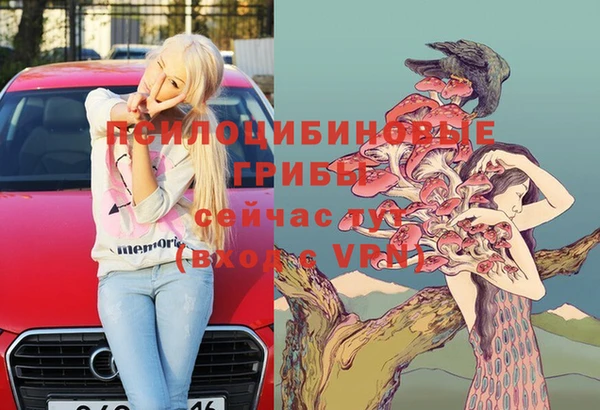 кокс Магас