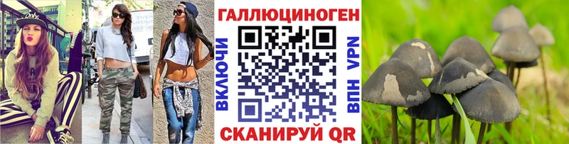 ОМГ ОМГ как зайти  Пермь  Псилоцибиновые грибы прущие грибы 