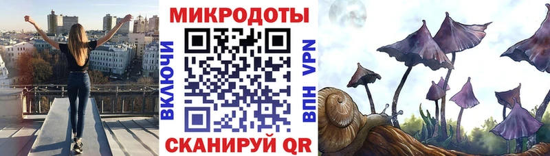 Псилоцибиновые грибы прущие грибы Пермь