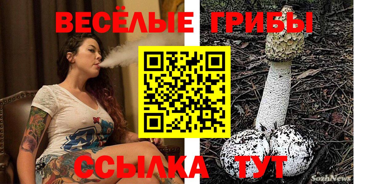 Псилоцибиновые грибы мицелий Пермь